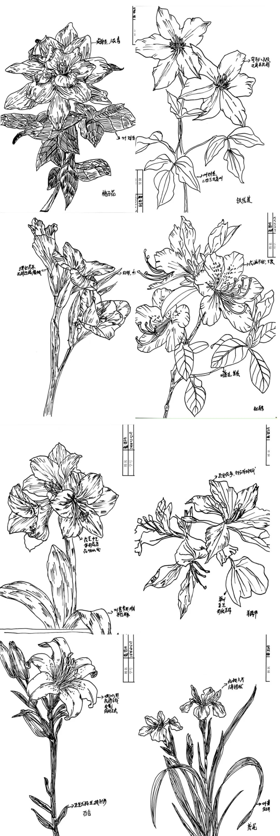 25FE4C